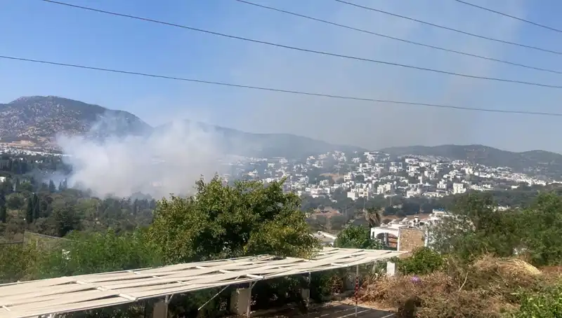 Muğla'daki Orman Yangınları Kontrol Altına Alındı: Neler Oluyor?