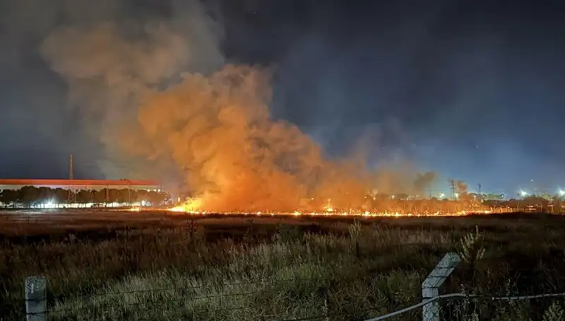 İzmir'de Gece Yarısı Yangın Paniği: Vatandaşlar Ne Yapacaklarını Şaşırdı