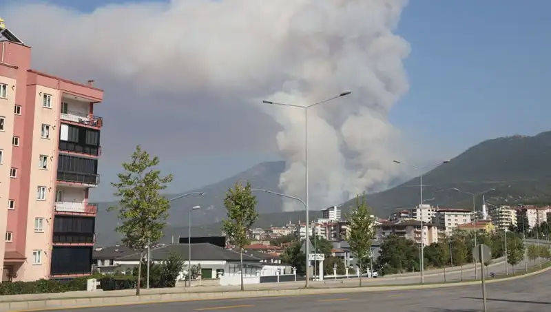 Denizli Orman Yangını: Alevler İçinde Kalan Doğa ve Bir Gözaltı