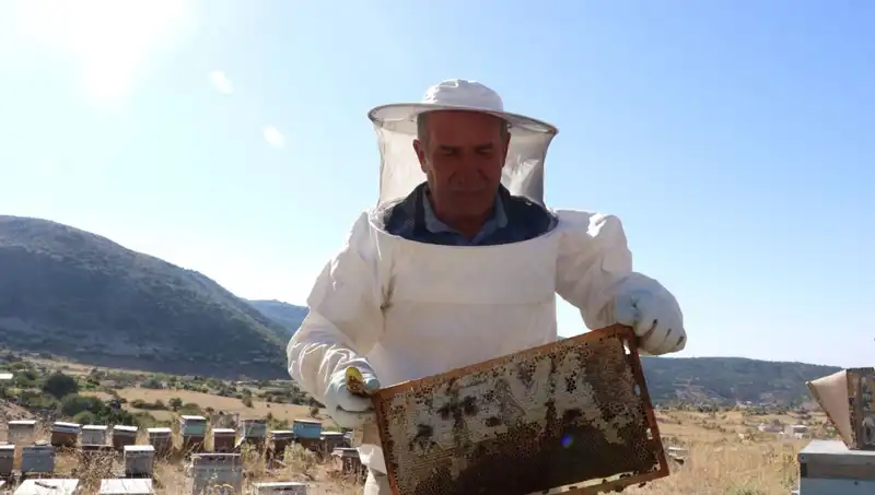 25 Yıl Sonra Mobilya İşine Dönüş: Bu Yıl 2 Ton Üretim Başarısı