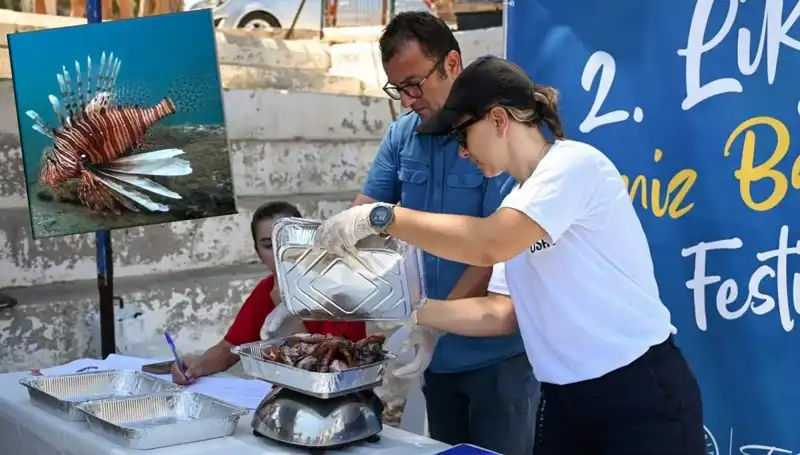 Antalya'da Stres Dolu İstilacı Aslan Balığı Avlama Yarışması Düzenlenecek