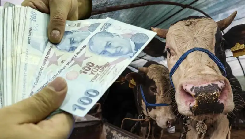 Kurban Bayramı Öncesi Emekli ve Memur Maaşları Hakkında Son Gelişmeler