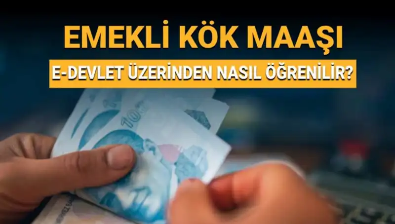 Kök Maaş Nedir? Öğrenmenin Yöntemleri ve Hesaplama Rehberi