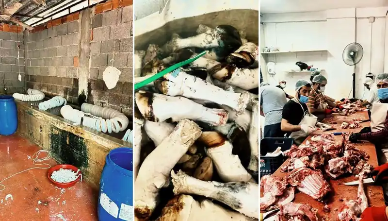 Adana'da Mide Bulandıran Paça Operasyonu: Yüzlerce Kilo Ele Geçirildi!