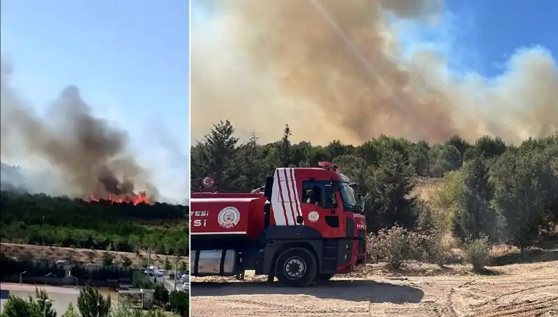 Gebze’de Meydana Gelen Orman Yangını, Doğayı Tehdit Mi Ediyor?