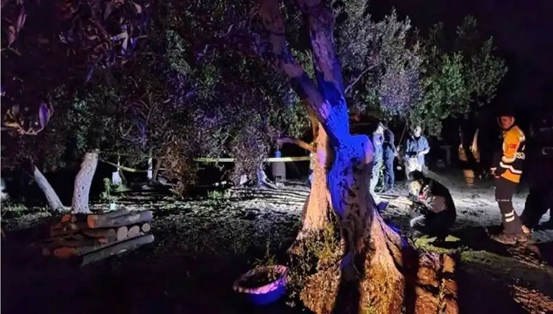 Çiftlikteki Baltalı Vahşet: Olayın Ardındaki Gerçekler ve İlk Tutuklama