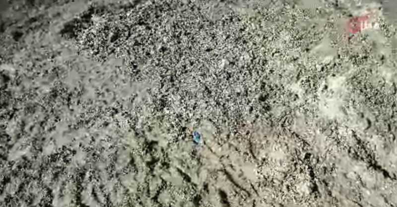 İstanbul'da Kayıp Çinli İş İnsanının Korkunç Cinayeti Ortaya Çıktı