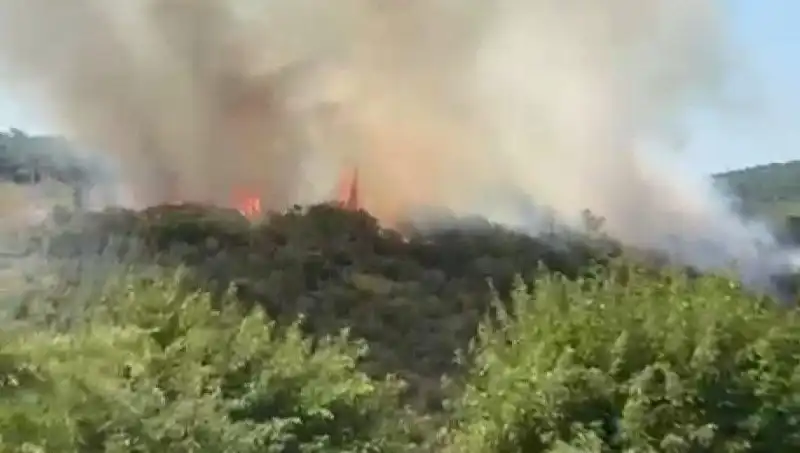 İstanbul'da Korkutan Orman Yangını: Vatandaşların Tahliyesi Gerçekleşti