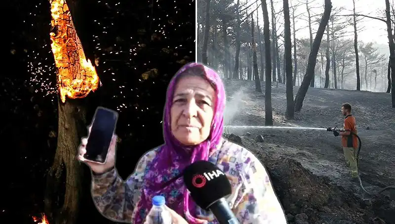 Çanakkale Orman Yangınları Kontrol Altına Alındı: İz bırakan felaketin ardından neler oldu?