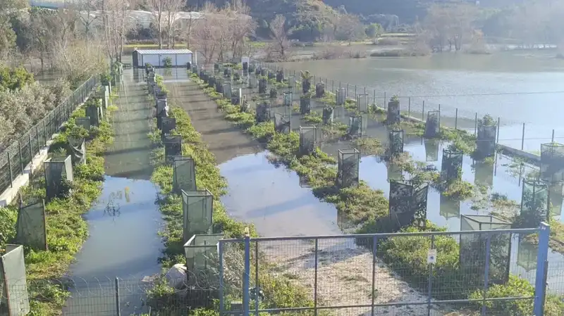 Irmak Taşması Otoyol Şantiyesini Vurdu: Maddi Hasarlar ve Kurtarma Çalışmaları