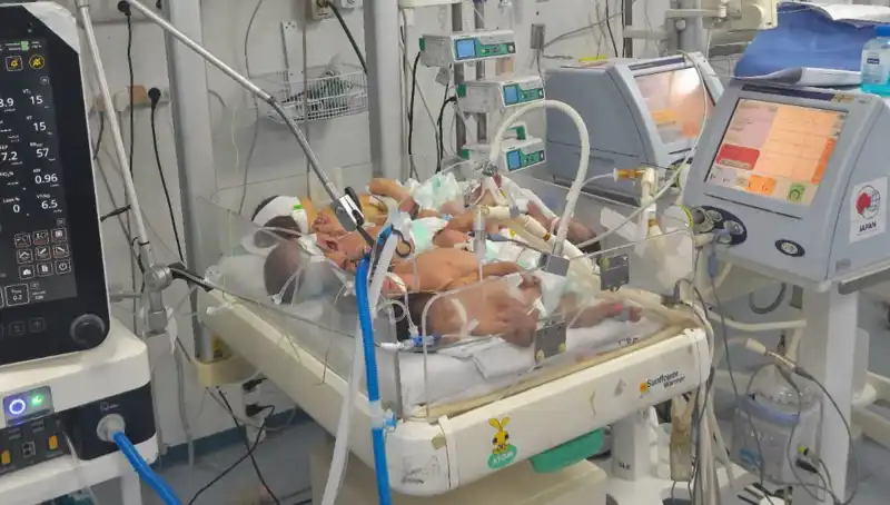 Gazzeli Doktorların Çaresizliği: Aynı Kuvözde Birden Fazla Bebek Tyranı